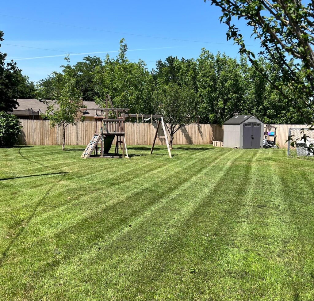 Lawn that is mowed in Texas