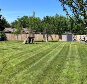 Lawn that is mowed in Texas