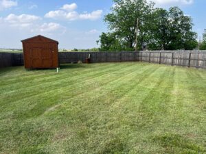 Understanding the lawn mowing cost in wichita falls tx