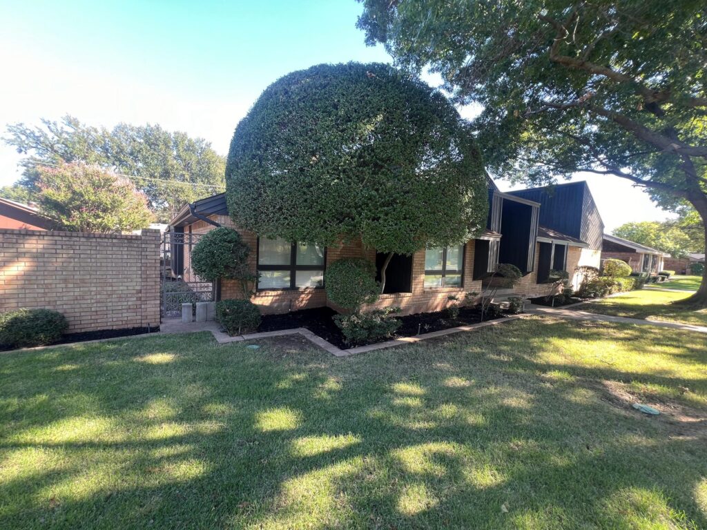 Lawn and landscaping done on a house in texas