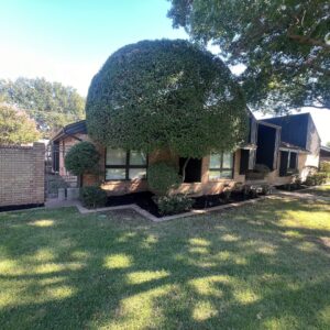 Lawn and landscaping done on a house in texas